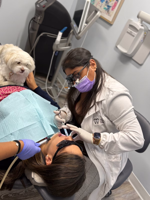 Koko the office therapy dog in Ardsley, NY