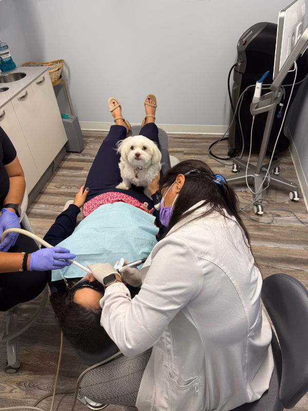 Koko comforting dental patients in Ardsley