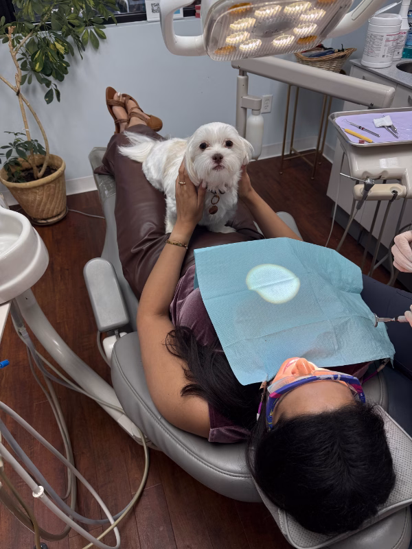 Koko at Ardsley Dental Spa office